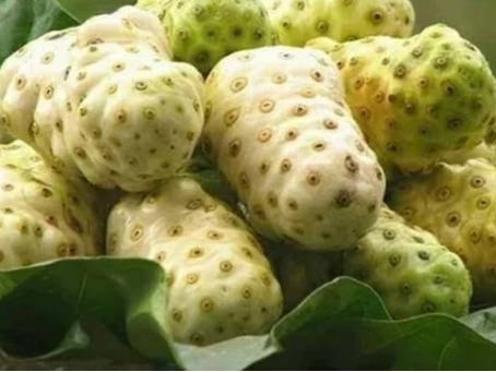 Uma fruta que combate mais de 150 doenças